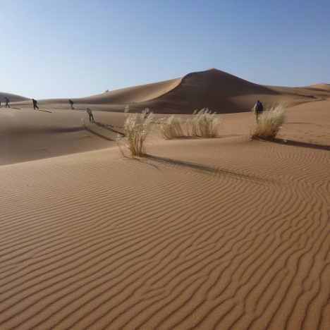 Caravane dans la vallée du draa