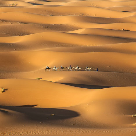 Le désert de l’Oued Ghriss et Djebel Zireg￼