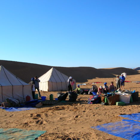 Traversée dunes et palmeraie de l’Oued Draa